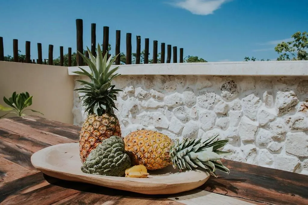 4 Story Villa, Private Pool & Jungle Rooftop Tulum Tatil Evi